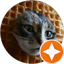 Kittenwaffles profile picture